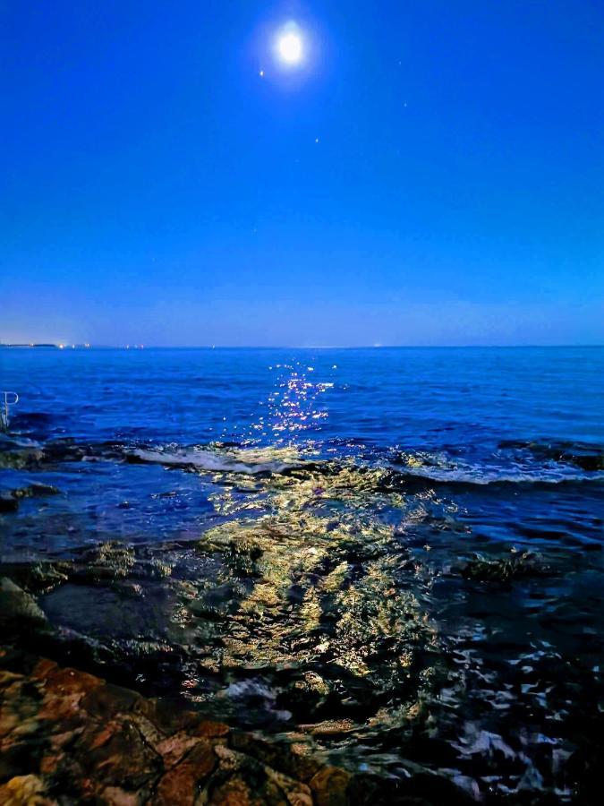 Aria Deluxe Superior 5 Star Apartment, Your Piece Of Heaven By The Sea & Park, With Sea & Park View Novigrad Istria 外观 照片
